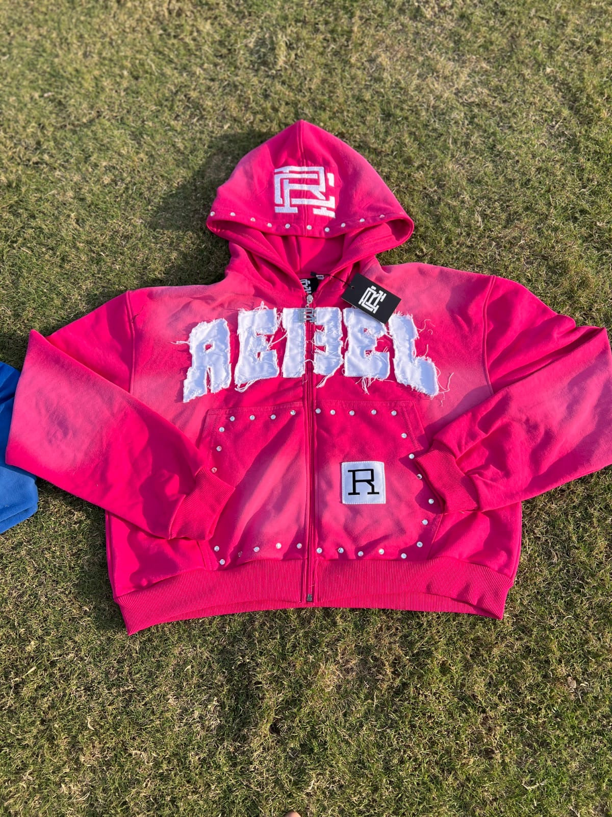 Pink Rebel Hoodie (PRE ORDER